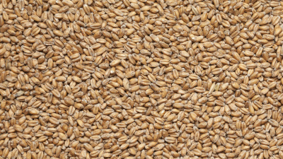 Изображение загружено обработкой